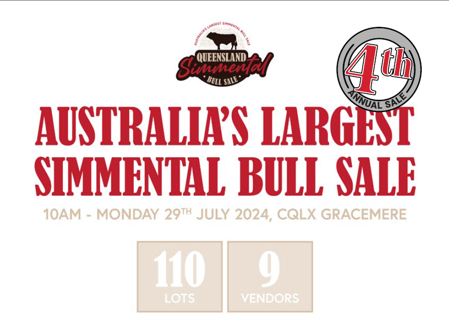 2024 Queensland Simmental Bull Sale Catalogue Out Now