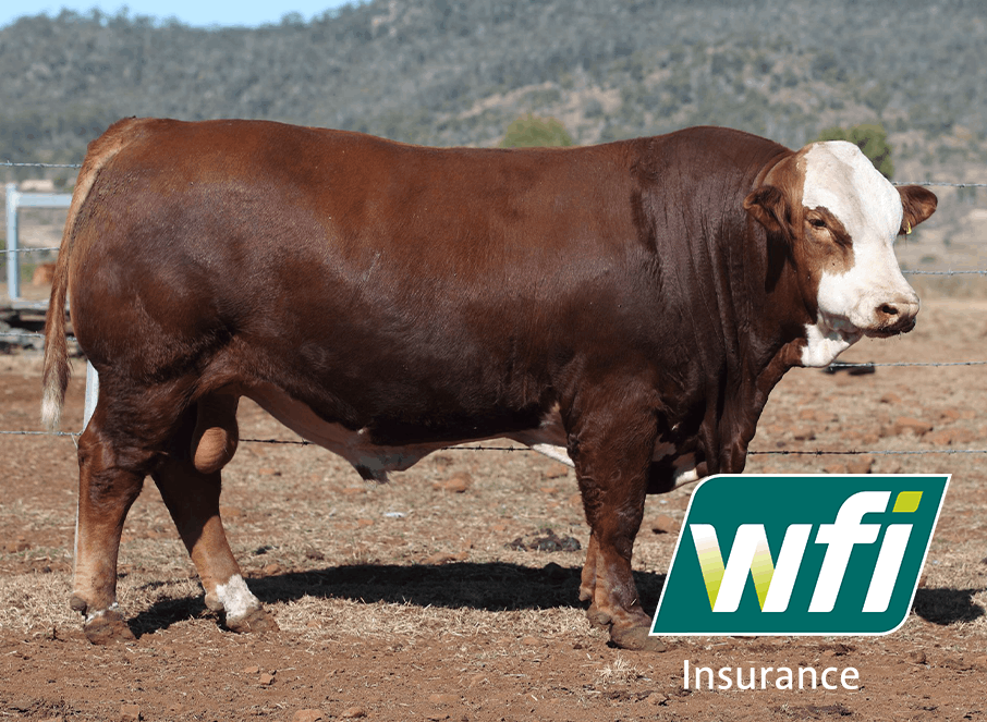 ‘Herd’ about WFI’s Livestock Insurance Policy?