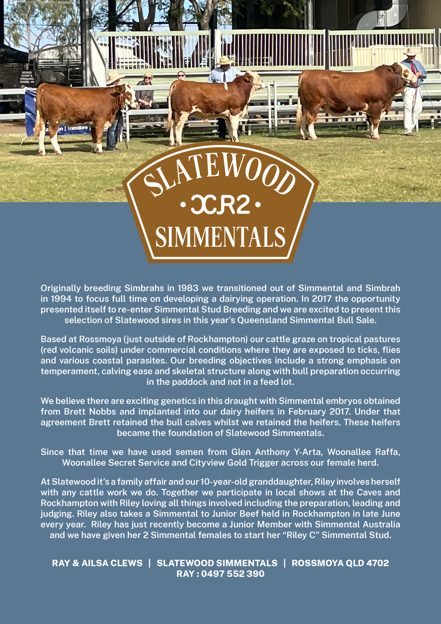 Slatewood Simmentals | Vendor Highlight